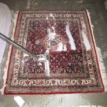 A rug washing in progress in Springfield, OR