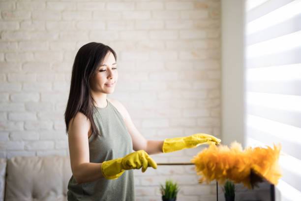 Carpet Cleaning Springfield Oregon